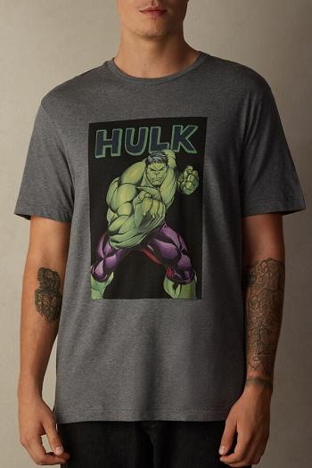 Intimssimi Hulk Print T-shirt σκούρο γκρι | GRCIF36180