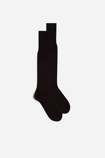 Intimssimi ψηλεσ Sateen Egyptian βαμβακερα Socks καφε | MGRFT94204