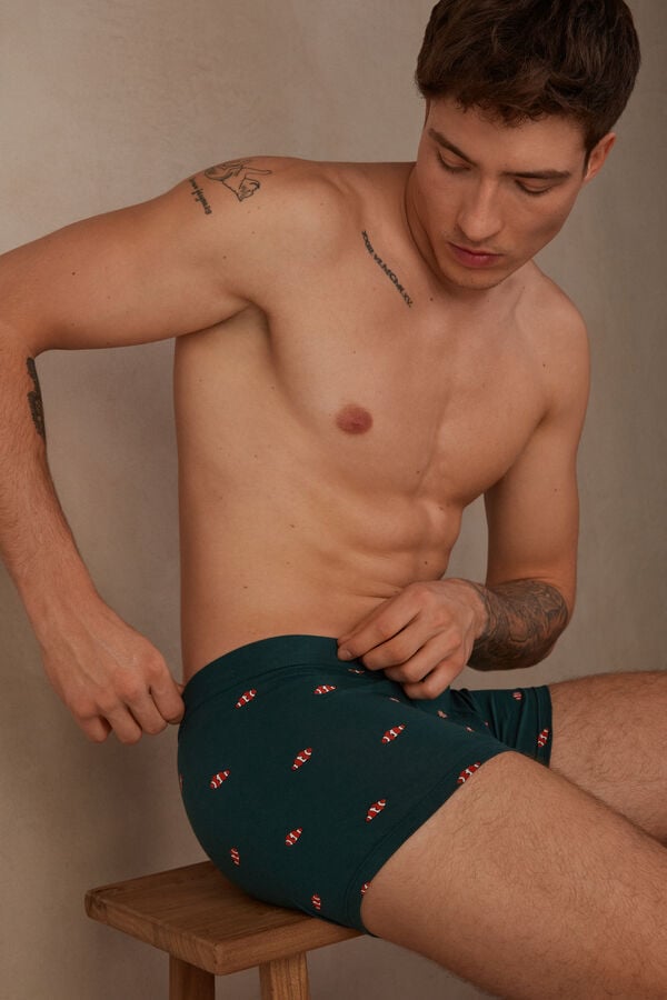 Intimssimi Clownfish Boxers in Natural Fresh Supima® βαμβακερα πρασινο | MGRHR66230