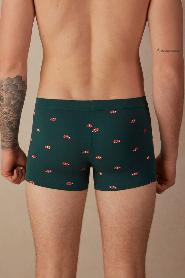 Intimssimi Clownfish Boxers in Natural Fresh Supima® βαμβακερα πρασινο | MGRHR66230