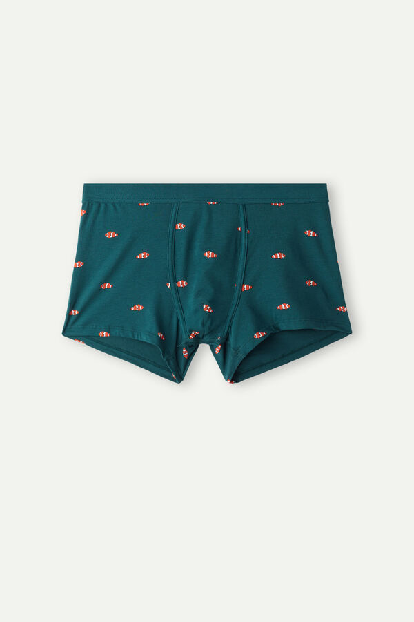 Intimssimi Clownfish Boxers in Natural Fresh Supima® βαμβακερα πρασινο | MGRHR66230