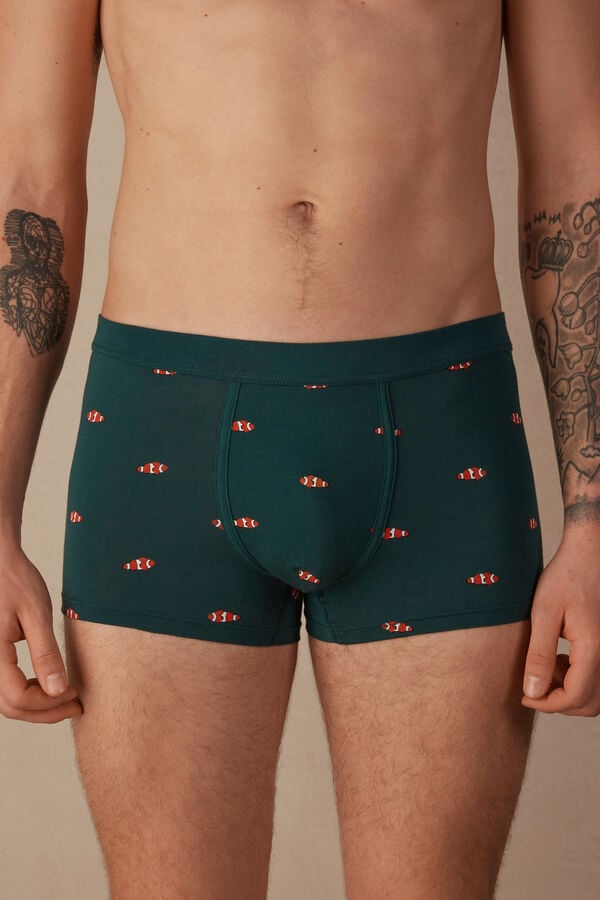 Intimssimi Clownfish Boxers in Natural Fresh Supima® βαμβακερα πρασινο | MGRHR66230