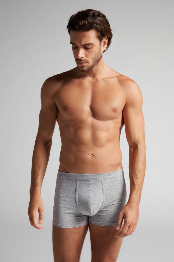 Intimssimi Supima® βαμβακερα Loose Fit Boxers γκρι | GRJBT17129