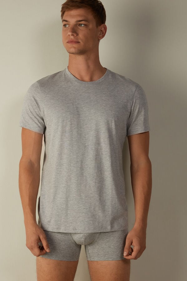 Intimssimi κοντο Sleeve Crew Neck T Shirt in Supima® βαμβακερα γκρι | BGRSO38596